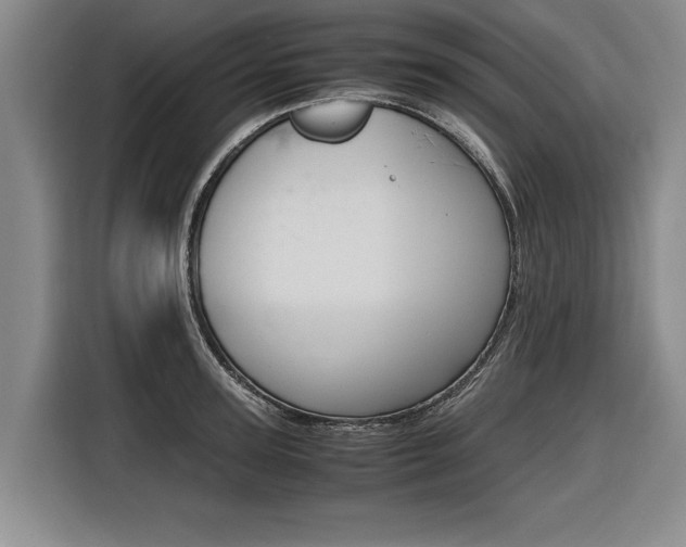 X0000116560947200912100941