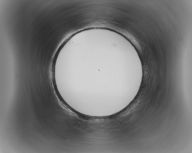 X0000116560950200912100941