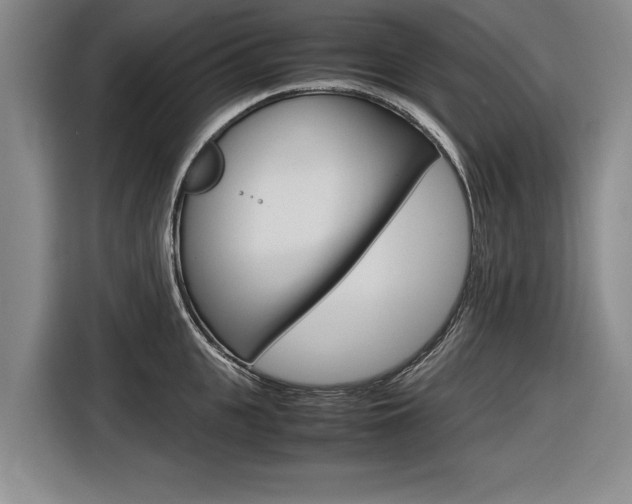 X0000116560951200912100941