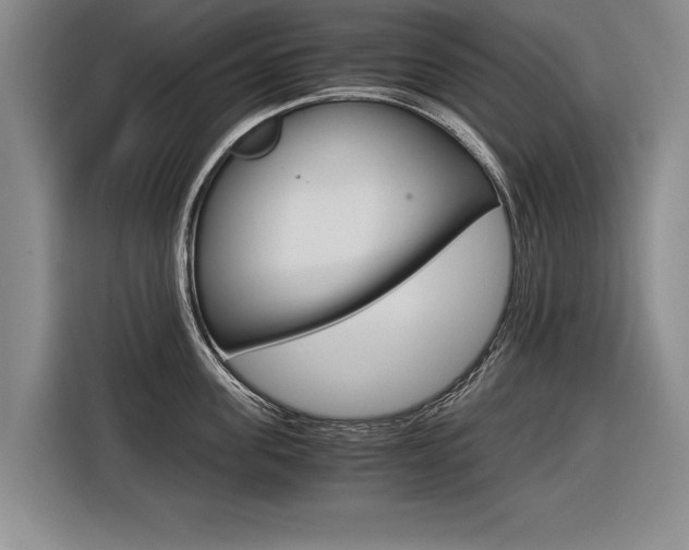X0000116560955200912100941
