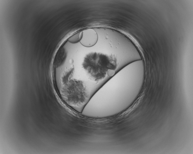 X0000116560957200912100941
