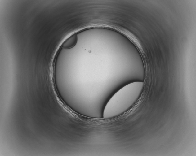 X0000116560958200912100941