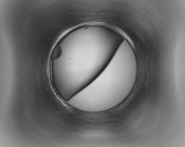 X0000116560959200912100941