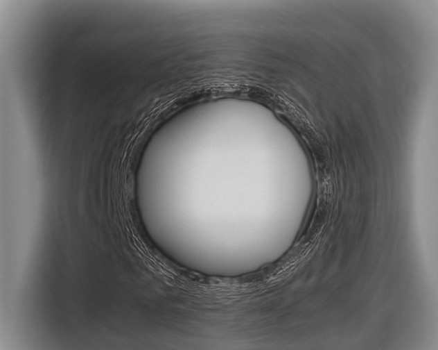 X0000116560961200912100940