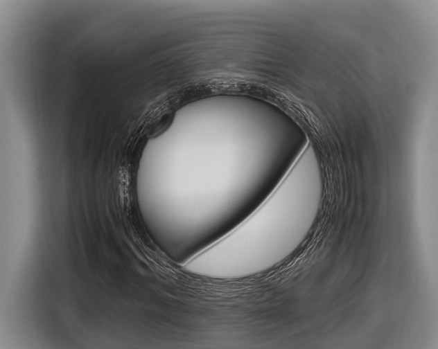 X0000116560964200912100940