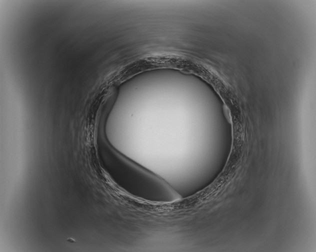 X0000116560965200912100940