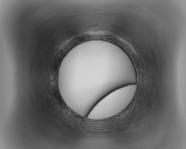X0000116560966200912100940