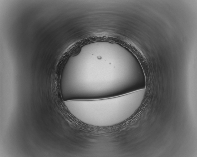 X0000116560968200912100940
