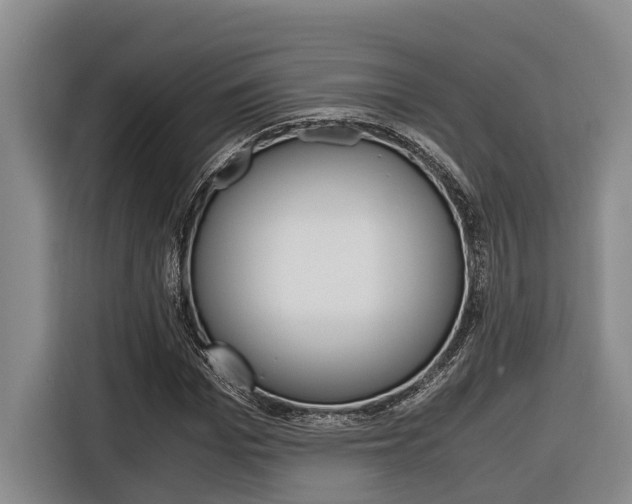 X0000116560969200912100940