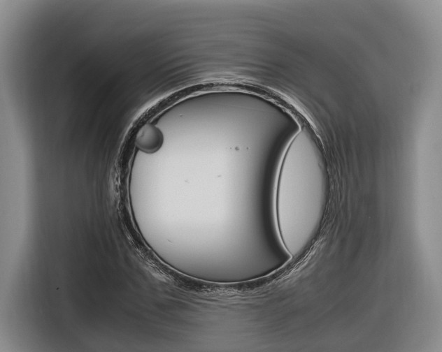 X0000116560971200912100940