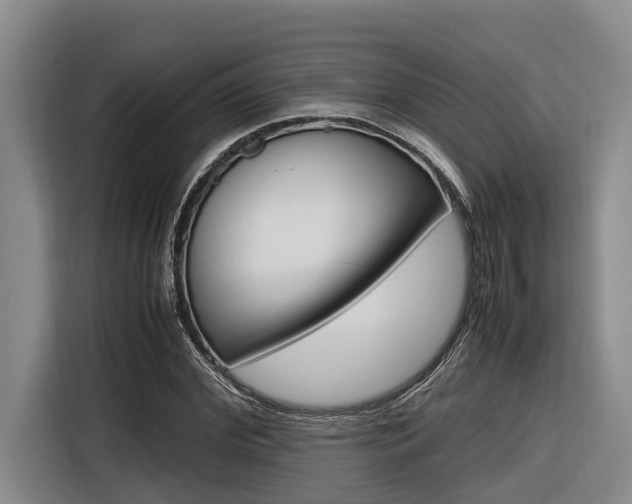 X0000116560972200912100940