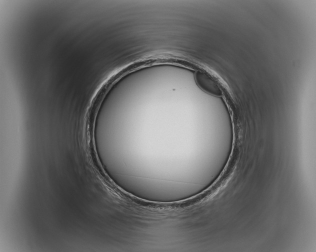 X0000116560973200912100940