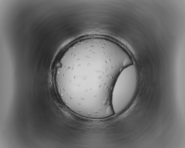 X0000116560974200912100940