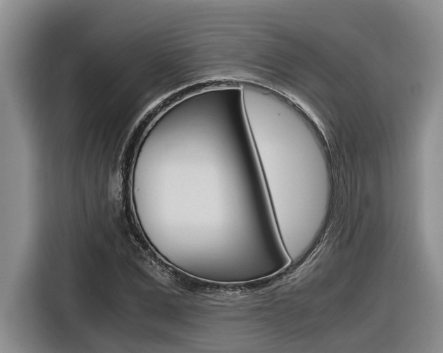 X0000116560975200912100940