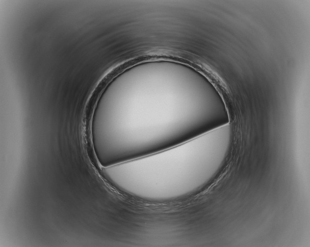 X0000116560976200912100940