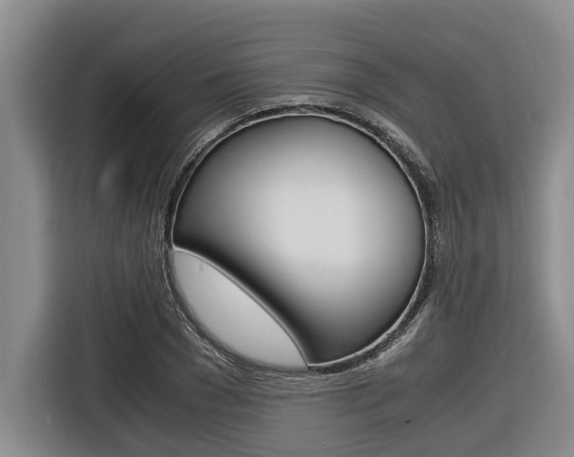 X0000116560977200912100940