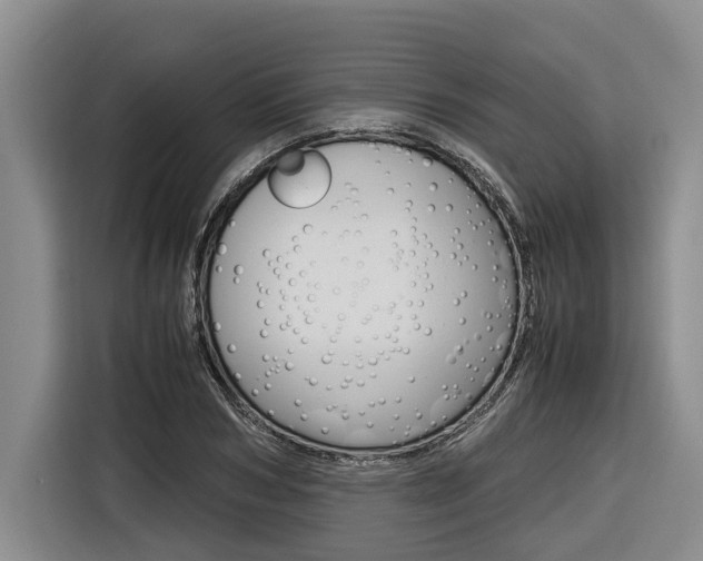 X0000116560978200912100940