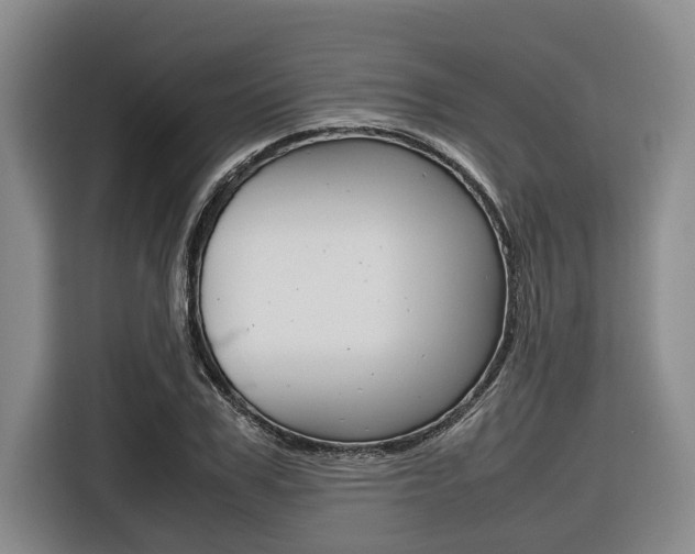 X0000116560979200912100940