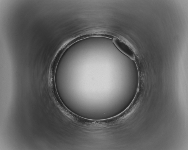 X0000116560981200912100940