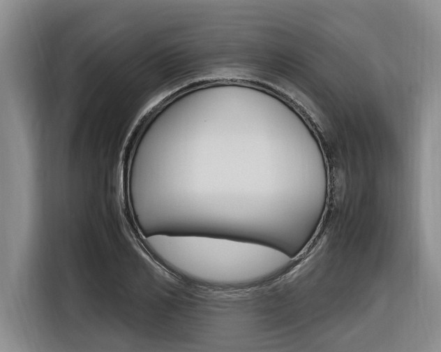 X0000116560982200912100940