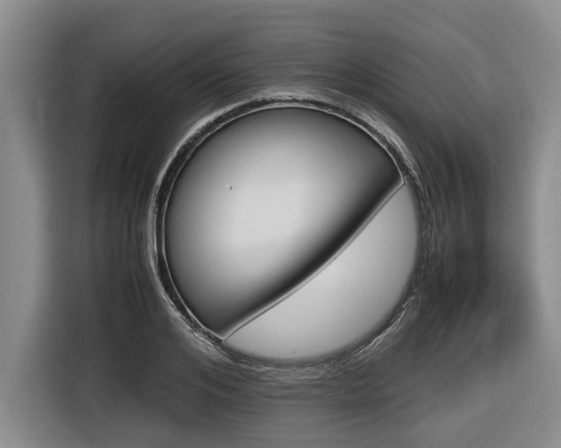 X0000116560984200912100940
