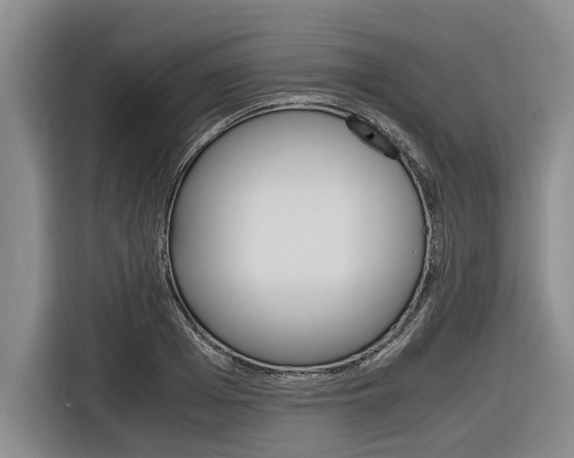 X0000116560985200912100940
