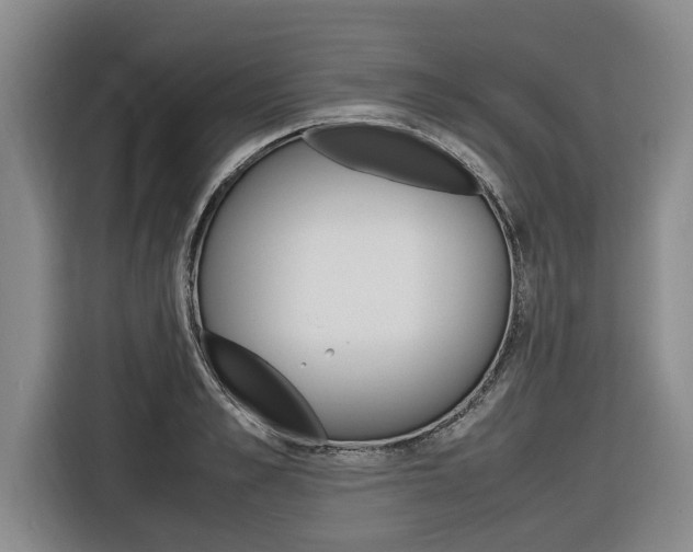 X0000116560989200912100940
