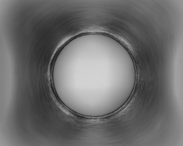 X0000116560990200912100940