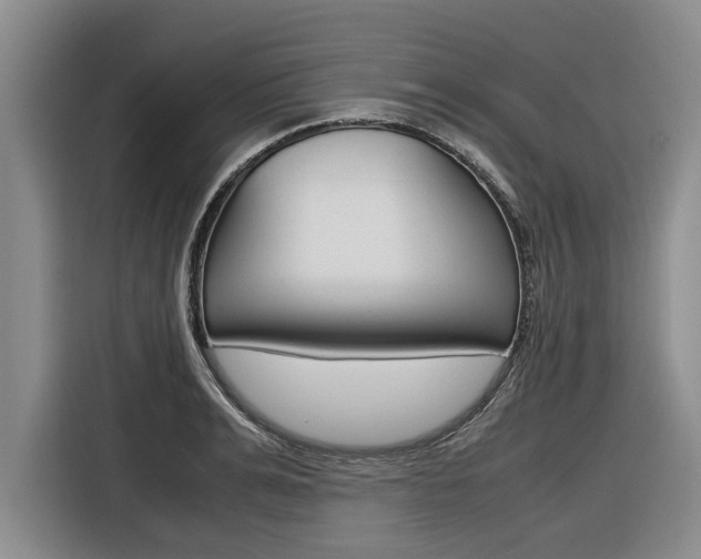 X0000116560991200912100940