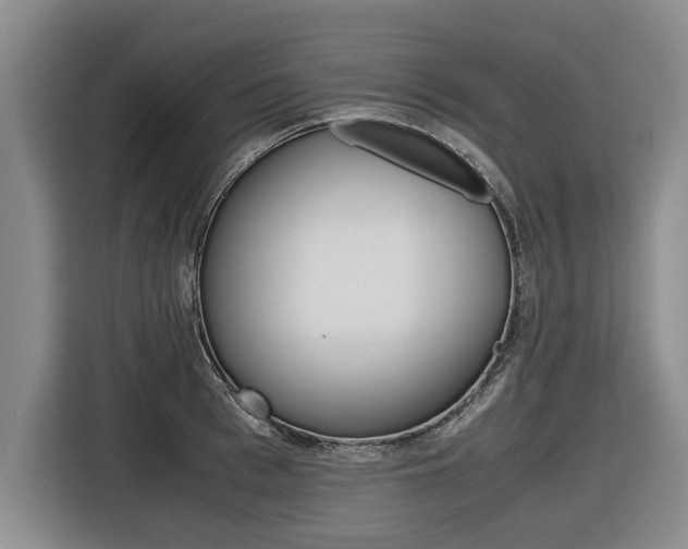 X0000116560993200912100940
