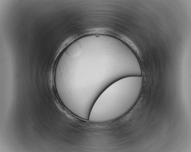 X0000116560994200912100940