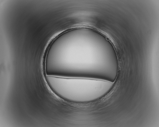 X0000116560995200912100940