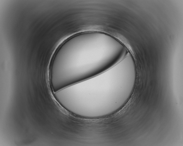 X0000116560996200912100940