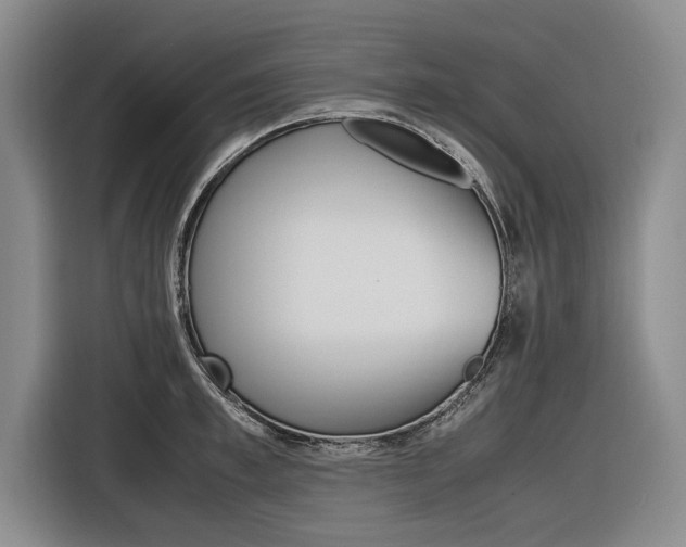 X0000116560997200912100940