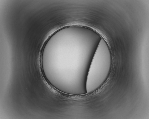 X0000116560998200912100940