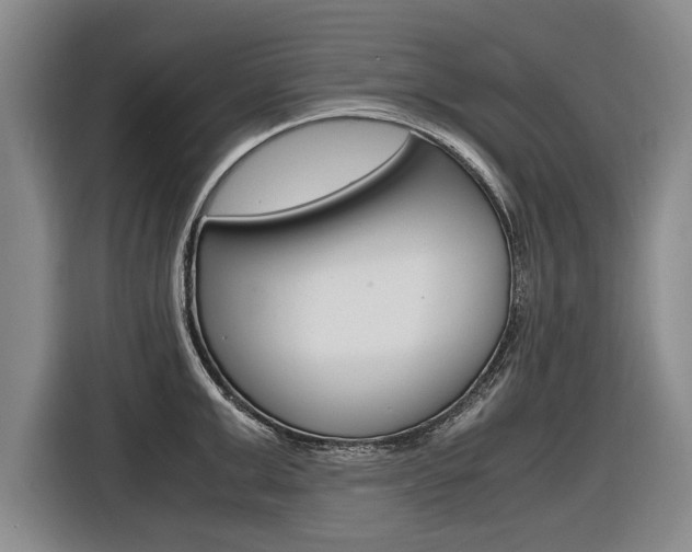 X0000116560999200912100940