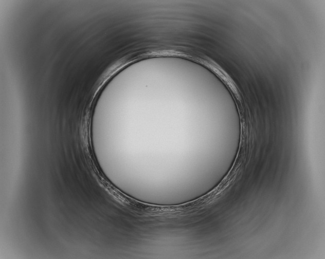 X0000116561002200912100940