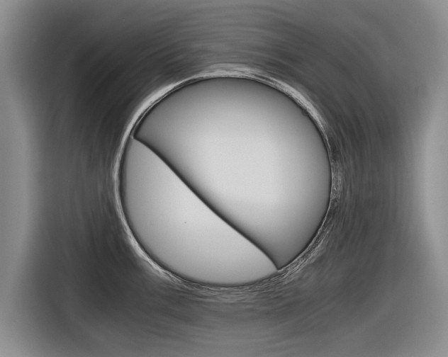 X0000116561003200912100940