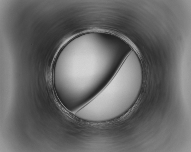 X0000116561004200912100940