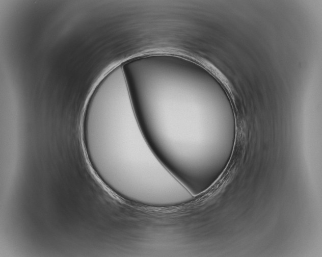 X0000116561005200912100940