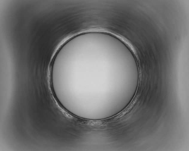 X0000116561006200912100939