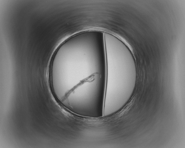X0000116561007200912100939