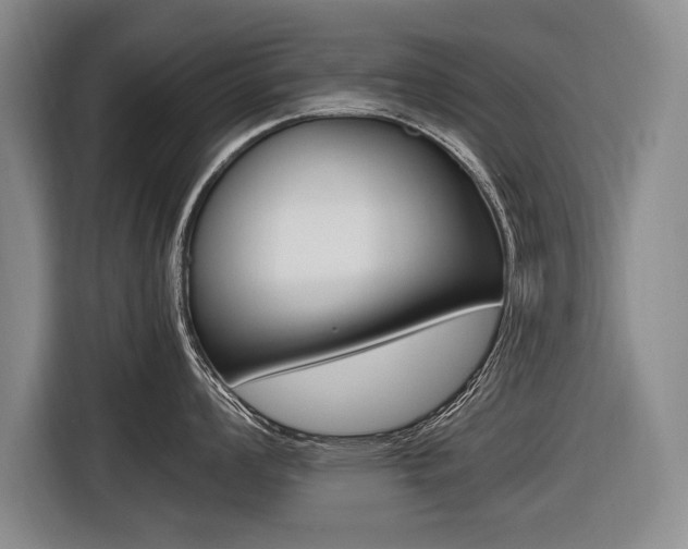 X0000116561008200912100939