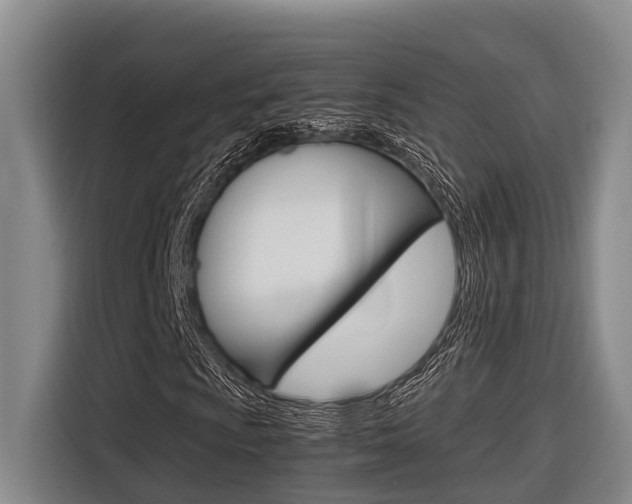 X0000116561009200912100939