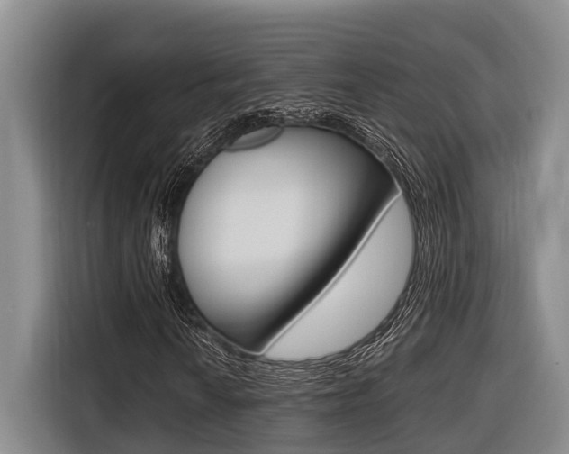 X0000116561010200912100939