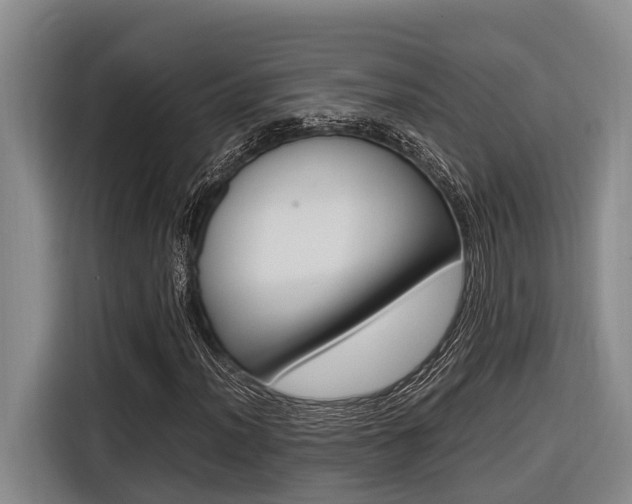 X0000116561012200912100939
