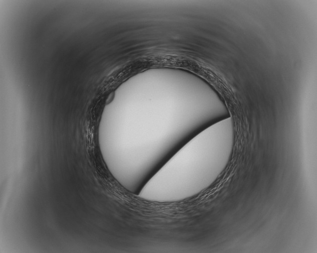 X0000116561013200912100939