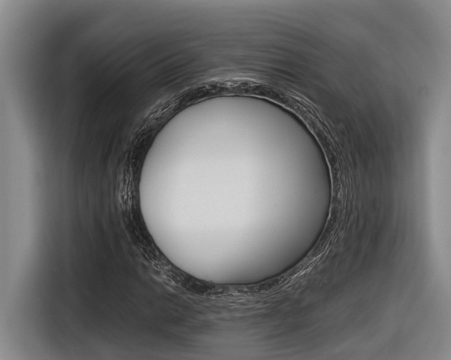 X0000116561014200912100939