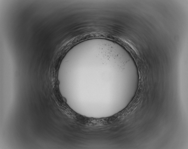 X0000116561015200912100939