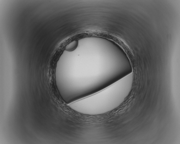 X0000116561016200912100939